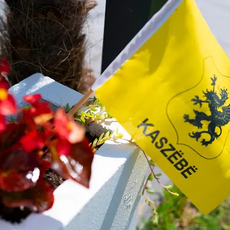 Pensjonat Remus House Ii Dom Nad Morzem Na Wyłączność Dla 12 Osób