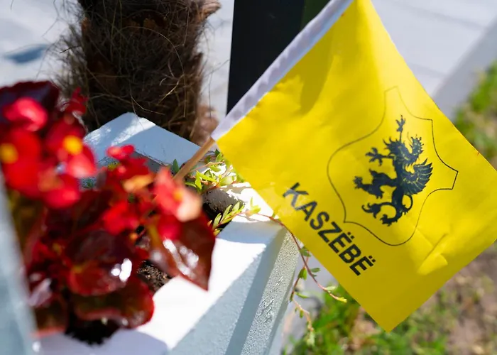 Πανσιόν Remus House Ii Dom Nad Morzem Na Wylacznosc Dla 12 Osob